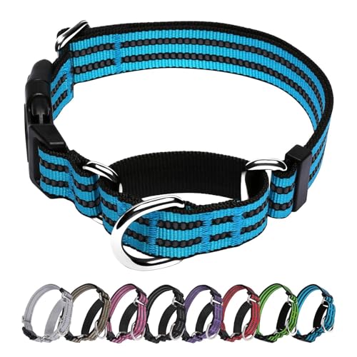 JOYEEIIOO Martingale Hundehalsband, verstellbares, reflektierendes Nylon-Halsband mit Schnellverschluss-Schnalle. Festzieht sich beim Ziehen des Hundes, erhöht die Kontrolle, Blau M von Joyeeiioo