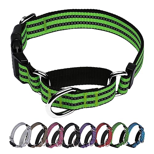 JOYEEIIOO Martingale Hundehalsband, verstellbares, reflektierendes Nylon-Halsband mit Schnellverschluss-Schnalle. Festzieht sich beim Ziehen des Hundes, erhöht die Kontrolle, Limettengrün M von Joyeeiioo