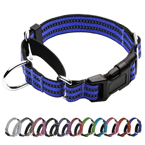 JOYEEIIOO Martingale Hundehalsband, verstellbares reflektierendes Nylon-Halsband mit Schnellverschluss-Schnalle, Königsblau, Größe L von Joyeeiioo