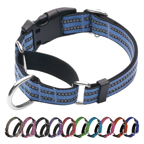 JOYEEIIOO Martingale Hundehalsband, verstellbares reflektierendes Nylon-Halsband mit Schnellverschluss-Schnalle (Graublau, Größe L) von Joyeeiioo