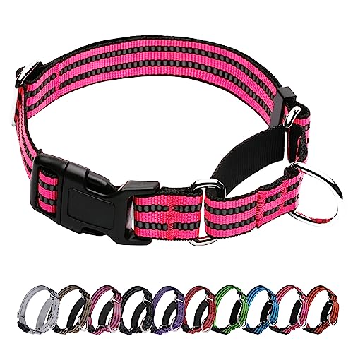 JOYEEIIOO Martingale Hundehalsband, verstellbares reflektierendes Nylon-Halsband mit Schnellverschluss-Schnalle (Hot Pink, Größe L) von Joyeeiioo