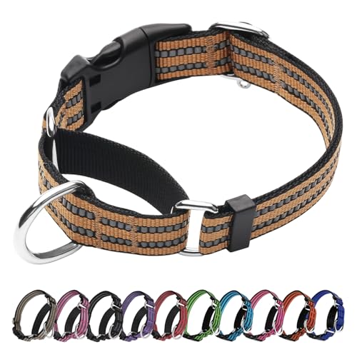 JOYEEIIOO Martingale Hundehalsband, verstellbares reflektierendes Nylon-Halsband mit Schnellverschluss-Schnalle (Kurkuma-Braun, Größe L) von Joyeeiioo