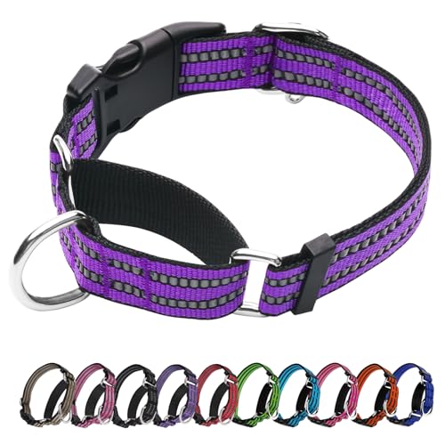 JOYEEIIOO Martingale Hundehalsband, verstellbares reflektierendes Nylon-Halsband mit Schnellverschluss-Schnalle (echtes Lila, groß) von Joyeeiioo