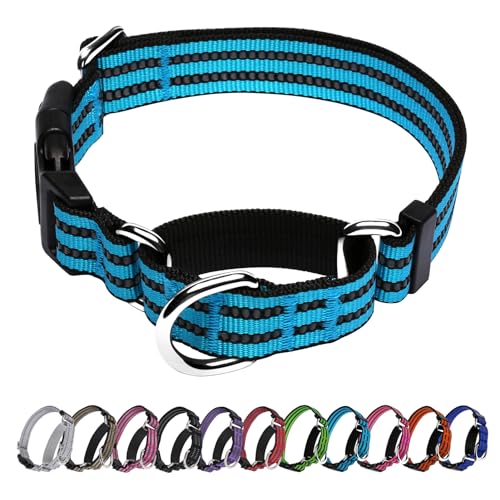 JOYEEIIOO Martingale Hundehalsband, verstellbares reflektierendes Nylonhalsband mit Schnellverschluss-Schnalle (Blau, Größe XL) von Joyeeiioo