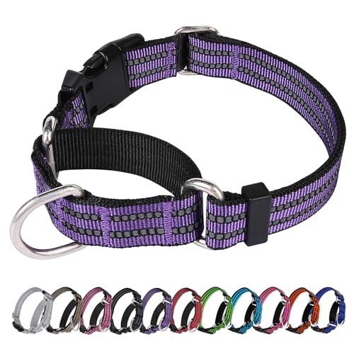 JOYEEIIOO Martingale Hundehalsband, verstellbares reflektierendes Nylonhalsband mit Schnellverschluss-Schnalle (Lila, Größe XL) von Joyeeiioo