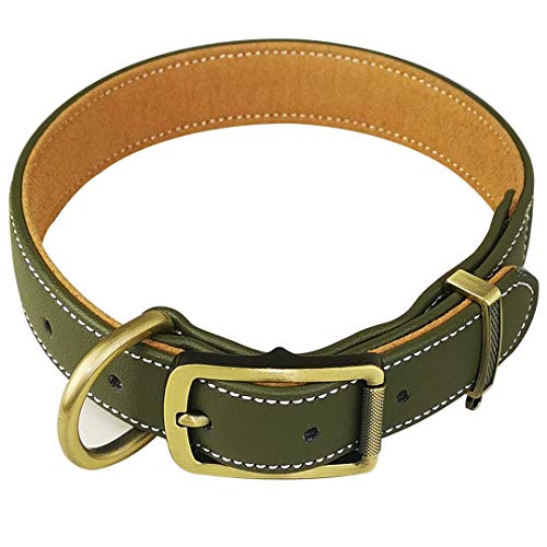 Joyeeiioo Leder-Hundehalsband, gepolstert, weiches und starkes Lederhalsband, strapazierfähige Metalllegierung, ideal für kleine, mittelgroße und große Hunde. von Joyeeiioo