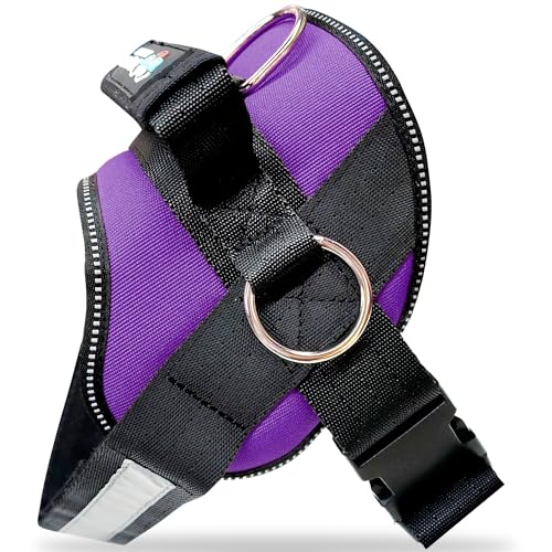 Joyride Basic Essential Hundegeschirr 1.0 für kleine, mittelgroße und große Hunde, Haustierweste ohne Ziehen, mit 3 seitlichen Ringen für die Platzierung der Leine, verstellbar für Training (Purple von Joyride Harness