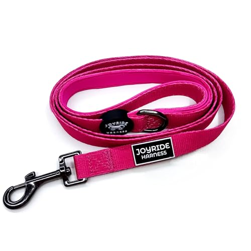 Joyride Harness Hundeleine, 150 cm, robuste Leine für Spaziergänge, Welpen-Leine, starke traditionelle Leine mit einfach zu bedienendem Halsbandhaken, dickes, strapazierfähiges Nylon von Joyride Harness