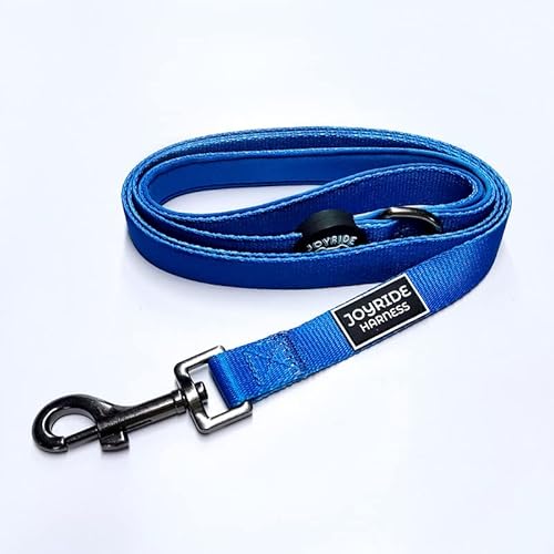 Joyride Harness Hundeleine, 150 cm, robuste Leine für Spaziergänge, Welpen-Leine, starke traditionelle Leine mit einfach zu bedienendem Halsbandhaken, dickes, strapazierfähiges Nylon von Joyride Harness