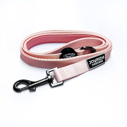 Joyride Harness Hundeleine, 150 cm, robuste Leine für Spaziergänge, Welpen-Leine, starke traditionelle Leine mit einfach zu bedienendem Halsbandhaken, dickes, strapazierfähiges Nylon von Joyride Harness