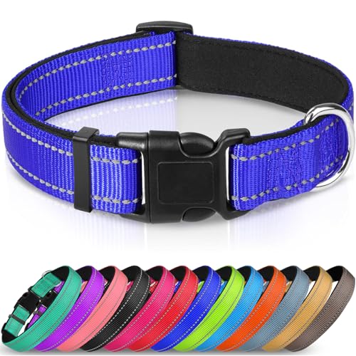 Joytale Halsband Hund, Gepolstertes Hundehalsband Breit aus Neopren Nylon Hundehalsband Verstellbar für Große Hunde, Weich und Reflektierend Hundehalsbänder, L, Königsblau von Joytale