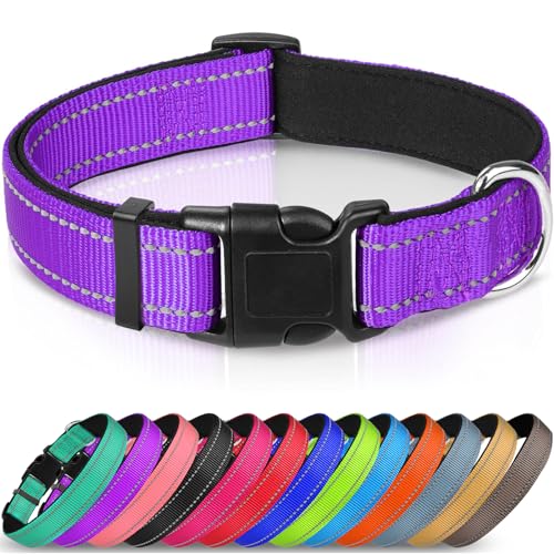 Joytale Halsband Hund, Gepolstertes Hundehalsband Breit aus Neopren Nylon Hundehalsband Verstellbar für Große Hunde, Weich und Reflektierend Hundehalsbänder, L, Lila von Joytale