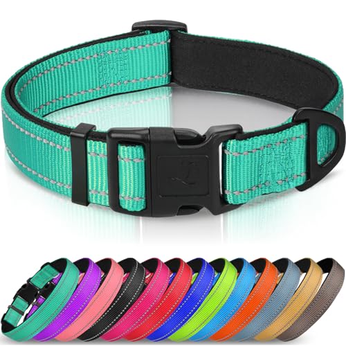 Joytale Halsband Hund, Gepolstertes Hundehalsband Breit aus Neopren Nylon Hundehalsband Verstellbar für Große Hunde, Weich und Reflektierend Hundehalsbänder, L, Türkis von Joytale