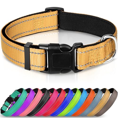 Joytale Halsband Hund, Gepolstertes Hundehalsband Breit aus Neopren Nylon Hundehalsband Verstellbar für Kleine Hunde, Weich und Reflektierend Hundehalsbänder, S, Braun von Joytale