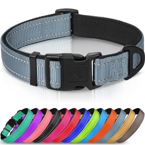 Joytale Halsband Hund, Gepolstertes Hundehalsband Breit aus Neopren Nylon Hundehalsband Verstellbar für Kleine Hunde, Weich und Reflektierend Hundehalsbänder, S, Grau von Joytale