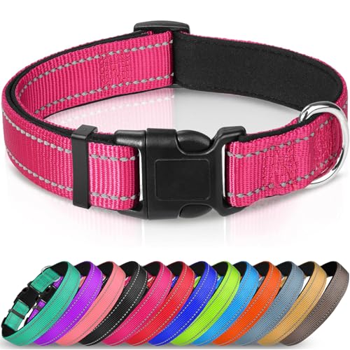 Joytale Halsband Hund, Gepolstertes Hundehalsband Breit aus Neopren Nylon Hundehalsband Verstellbar für Kleine Hunde, Weich und Reflektierend Hundehalsbänder, S, Hotpink von Joytale