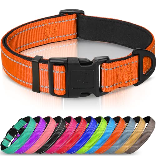 Joytale Halsband Hund, Gepolstertes Hundehalsband Breit aus Neopren Nylon Hundehalsband Verstellbar für Kleine Hunde, Weich und Reflektierend Hundehalsbänder, S, Orange von Joytale