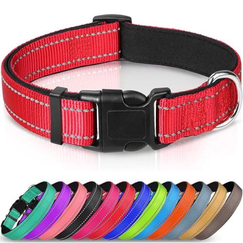 Joytale Halsband Hund, Gepolstertes Hundehalsband Breit aus Neopren Nylon Hundehalsband Verstellbar für Kleine Hunde, Weich und Reflektierend Hundehalsbänder, S, Rot von Joytale