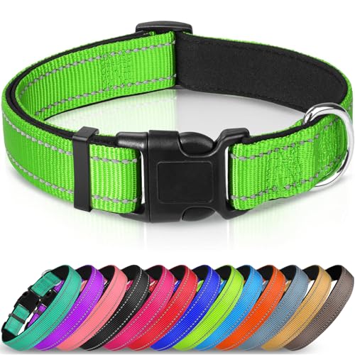 Joytale Halsband Hund, Gepolstertes Hundehalsband Breit aus Neopren Nylon Hundehalsband Verstellbar für Mittelgroße Hunde, Weich und Reflektierend Hundehalsbänder, M, Grün von Joytale