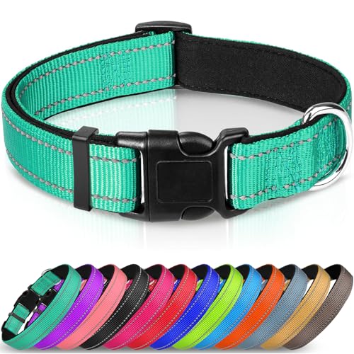 Joytale Halsband Hund, Reflektierend Hundehalsband Mittelgroße Hunde, M, Türkis von Joytale