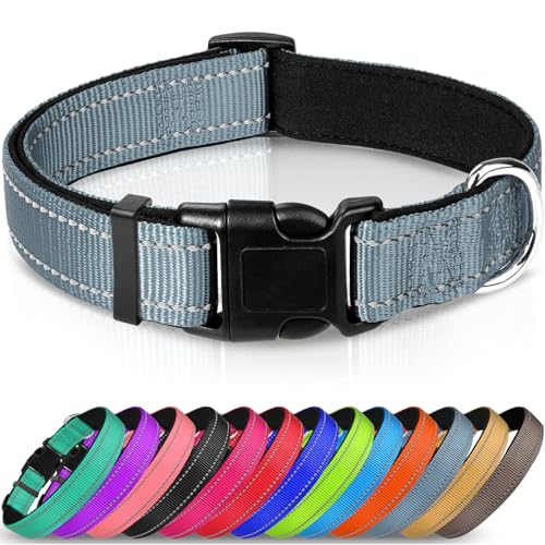 Joytale Halsband Hund, Gepolstertes Hundehalsband Breit aus Neopren Nylon Hundehalsband Verstellbar für Welpen, Weich und Reflektierend Hundehalsbänder, XS, Grau von Joytale