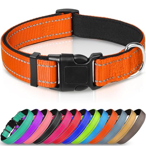 Joytale Halsband Hund, Gepolstertes Hundehalsband Breit aus Neopren Nylon Hundehalsband Verstellbar für Welpen, Weich und Reflektierend Hundehalsbänder, XS, Orange von Joytale