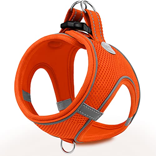 Joytale Hundegeschirr, Reflektierend Weich Gepolstert Hunde Geschirr, Air-Mesh Atmungsaktiv Brustgeschirr für Katze Welpen Hunde, XXXS, Orange von Joytale