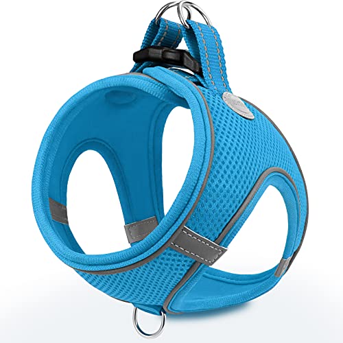 Joytale Hundegeschirr, Reflektierend Weich Gepolstert Hunde Geschirr, Air-Mesh Atmungsaktiv Brustgeschirr für Kleine Mittelgroße Hunde, M, Baby Blau von Joytale