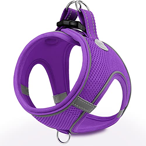 Joytale Hundegeschirr, Reflektierend Weich Gepolstert Hunde Geschirr, Air-Mesh Atmungsaktiv Brustgeschirr für Welpen, Kleine Hunde, XS, Lila von Joytale