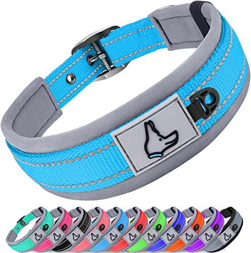 Joytale Halsband Hund, Weich Hundehalsband Gepolstert Neopren Hunde Halsband für Extra Große Hunde, Nylon Reflektierend Breit Halsbänder, Baby Blau von Joytale