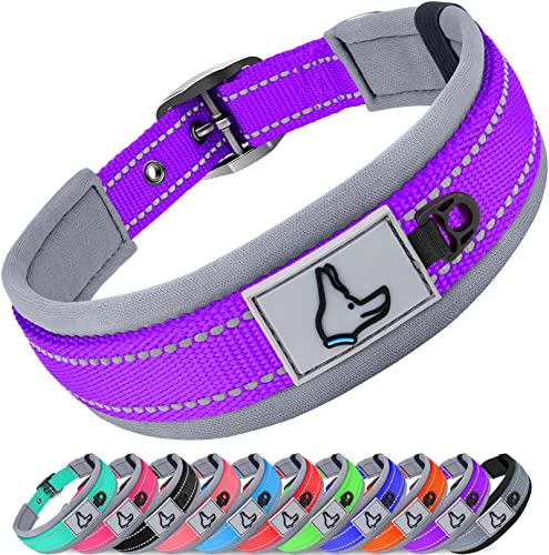 Joytale Halsband Hund, Weich Hundehalsband Gepolstert Neopren Hunde Halsband für Extra Große Hunde, Nylon Reflektierend Breit Halsbänder, Lila von Joytale