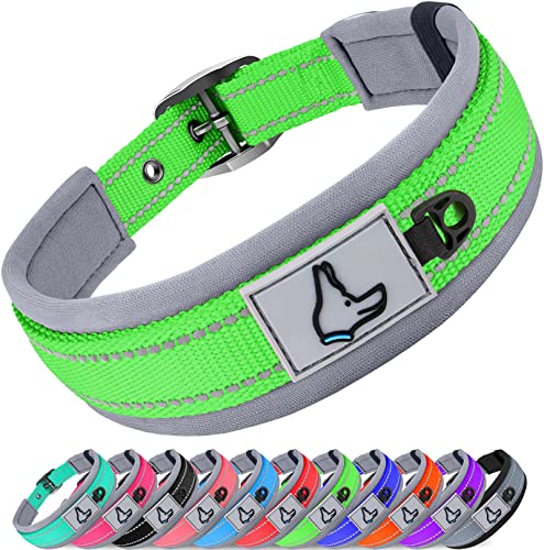 Joytale Hundehalsband, Weich Gepolstert Neopren Halsbänder für Große Hunde, Nylon Reflektierend Breit Halsband Hund, Grün von Joytale