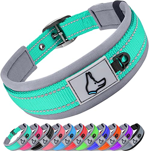 Joytale Hundehalsband, Weich Gepolstert Neopren Halsbänder für Große Hunde, Nylon Reflektierend Breit Halsband Hund, Türkis von Joytale