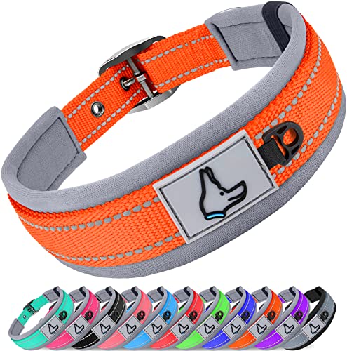 Joytale Hundehalsband, Weich Gepolstert Neopren Halsbänder für Mittlere Hunde, Nylon Reflektierend Breit Halsband Hund, Orange von Joytale