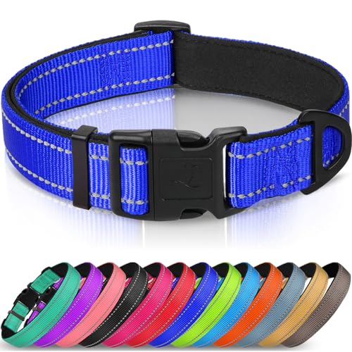 Joytale Halsband Hund, Gepolstertes Hundehalsband Breit aus Neopren Nylon Hundehalsband Verstellbar für Große Hunde, Weich und Reflektierend Hundehalsbänder, XL, Königsblau von Joytale