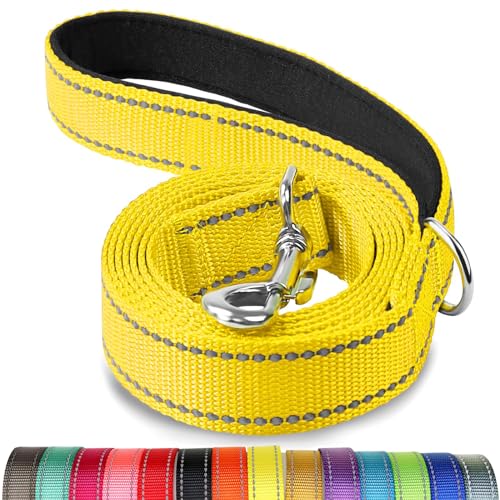 Joytale Hundeleine, 1.8/1.5/1.2m Reflektierende Leine aus Nylon mit Gepolstertem Griff für Große Mittel Hunde, 1.5m × 2.0cm, Gelb von Joytale