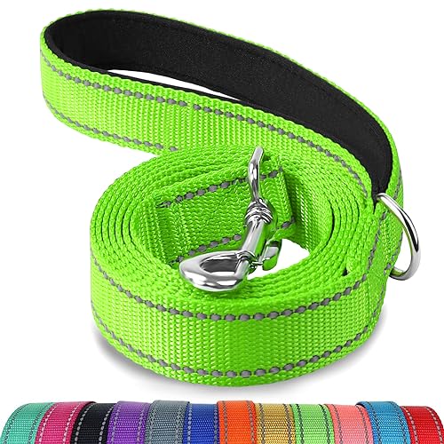 Joytale Hundeleine, 1.8/1.5/1.2m Reflektierende Leine aus Nylon mit Gepolstertem Griff für Große Mittel Hunde, 1.5m × 2.0cm, Grün von Joytale