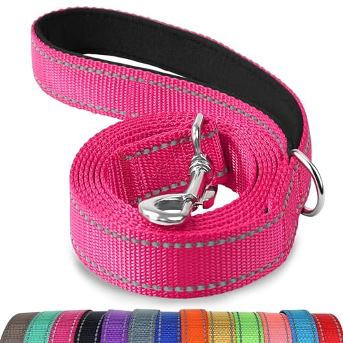 Joytale Hundeleine für Große und Mittelgroße Hunde, Doppelseitig Reflektierende Leine Hund aus Nylon mit Gepolstertem Griff, 1,2m x 2,5cm, Hotpink von Joytale