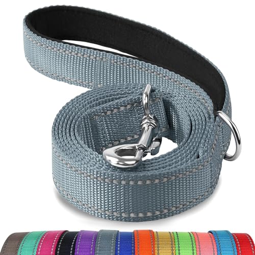 Joytale Hundeleine, 1.8/1.5/1.2m Reflektierende Leine aus Nylon mit Gepolstertem Griff für Kleine Mittel Hunde, 1.8m × 2cm, Grau von Joytale