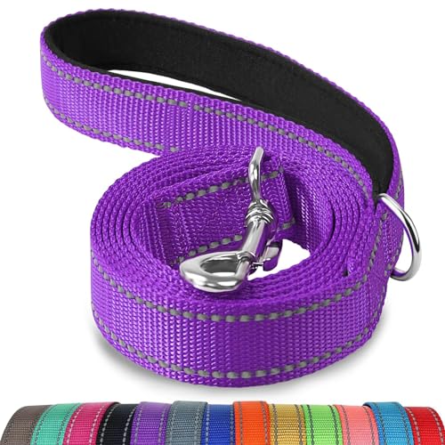 Joytale Hundeleine, 1.8/1.5/1.2m Reflektierende Leine aus Nylon mit Gepolstertem Griff für Kleine Mittel Hunde, 1.8m × 2cm, Lila von Joytale