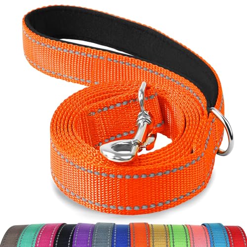 Joytale Hundeleine Kleine Hunde Leicht, Doppelseitig Reflektierende Leine Hund aus Nylon mit Gepolstertem Griff, 1,8m x 2cm, Orange von Joytale