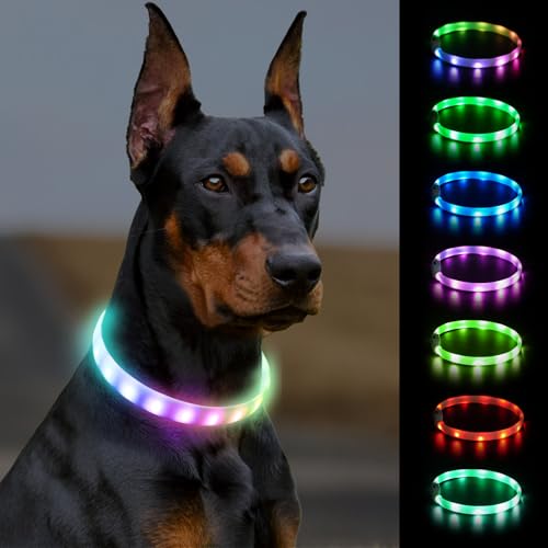 Joytale Leuchthalsband Hund, Hundehalsband Leuchtend Aufladbar, Längenverstellbar Led Hundehalsband mit 9 Leuchtmodi, Regendicht Hunde Leuchthalsband für Kleine Mittlere Große Hunde, 70 cm von Joytale