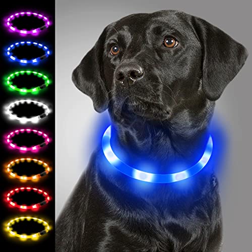 Joytale Leuchthalsband Hund, Led Hundehalsband USB Aufladbar für Große Mittel Kleine Hunde und Welpe, Hundehalsband Leuchtend mit Leucht für Sicherheit, Blau von Joytale