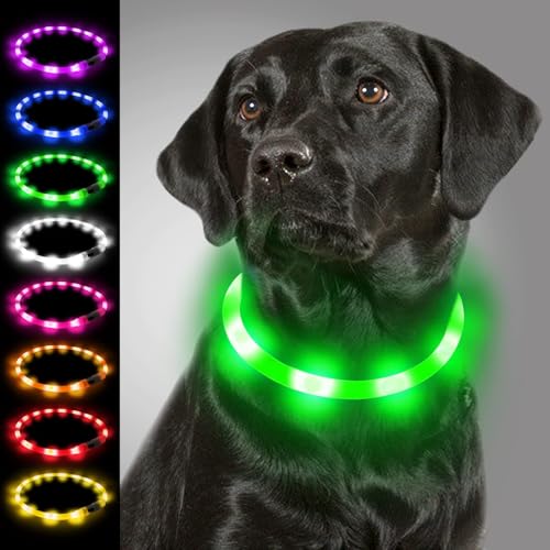 Joytale Leuchthalsband Hund USB Aufladbar Hundehalsband Leuchtend für Große Mittel Kleine Hunde und Welpe, Led Halsband mit 3 Modi für Sicherheit, Grün von Joytale