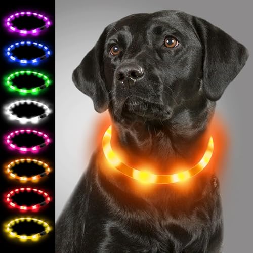 Joytale Leuchthalsband Hund USB Aufladbar Hundehalsband Leuchtend für Große Mittel Kleine Hunde und Welpe, Led Halsband mit 3 Modi für Sicherheit, Orange von Joytale