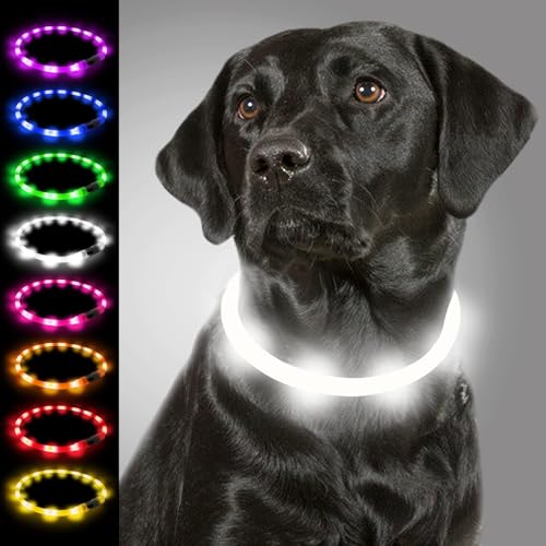 Joytale Leuchthalsband Hund USB Aufladbar Hundehalsband Leuchtend für Große Mittel Kleine Hunde und Welpe, Led Halsband mit 3 Modi für Sicherheit, Weiß von Joytale