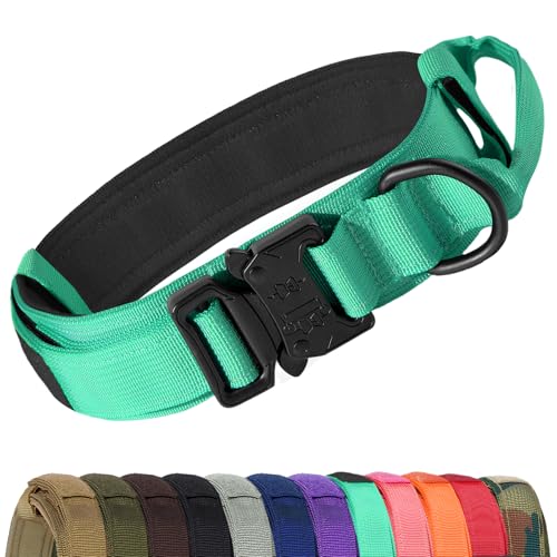 Joytale Taktisches Hundehalsband mit Griff Halsband Hund 3.8 cm Breit Hundehalsband für Große Hunde Verstellbar aus Nylon, Türkis, L von Joytale