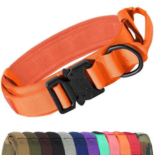 Joytale Taktisches Hundehalsband mit Griff Halsband Hund 3.8 cm Breit Hundehalsband für Mittelgroße Hunde Verstellbar aus Nylon, Orange, M von Joytale