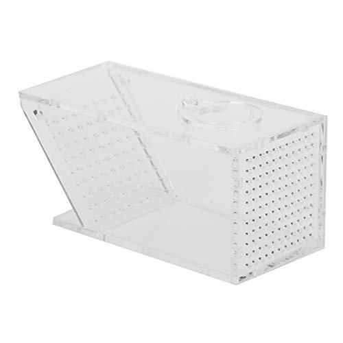 Joyzan Fischfalle Catcher Box, Süßwasserkrabbenfalle Acryl Aquarium zum Fangen von Garnelen Krabben Hausgarten Büro Fisch Süßwasser Krabbenfalle One Way Trap Fischzuchtbox Transparent Einwegventil von Joyzan