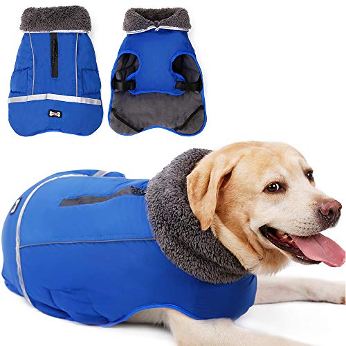 Wasserdichter winddichter Hundemantel für kaltes Wetter, warme Hundekleidung, Jacken für kleine, große, mittelgroße Mädchen, Jungen, Aktivitäten im Freien und drinnen (blau, XL) von Jranter